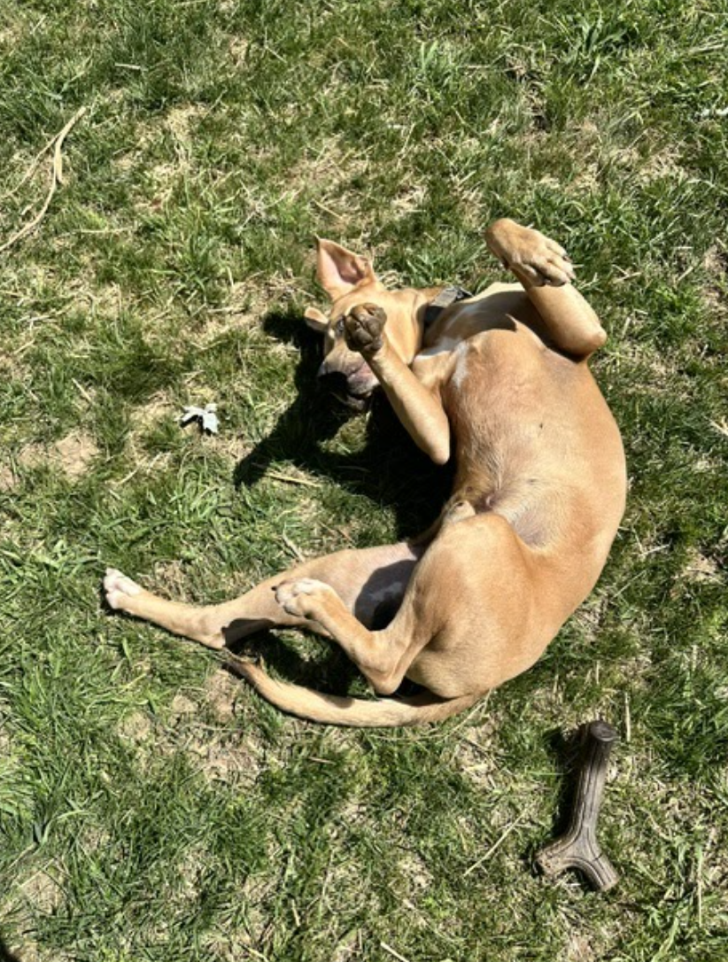 Screenshot 2026-04-22 at 5.19.54 PM.png