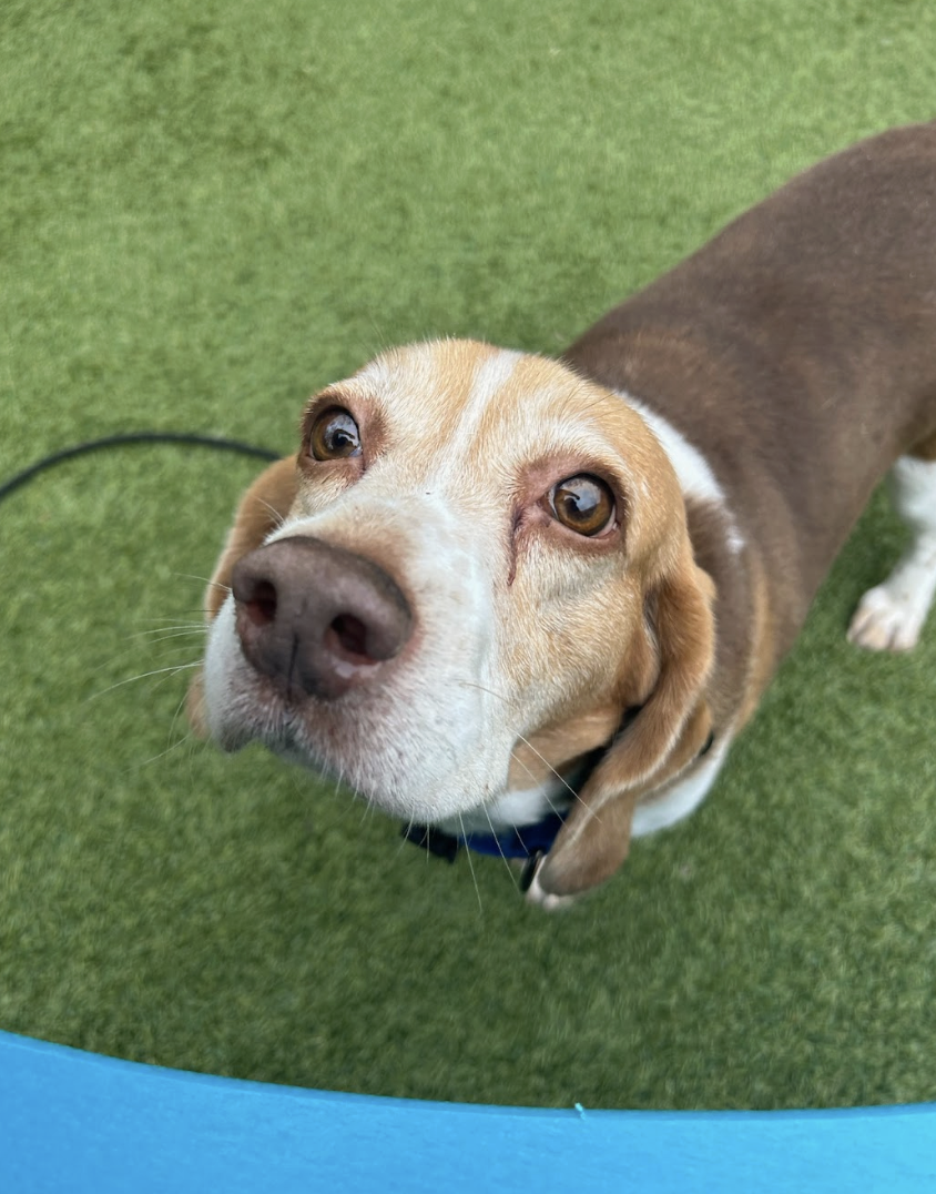 Screenshot 2026-03-11 at 6.32.12 PM.png