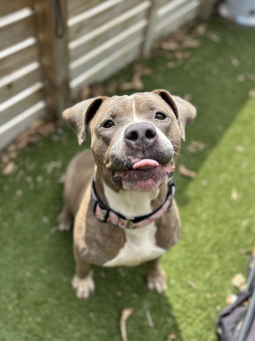 Screenshot 2026-03-26 at 2.41.48 PM.png