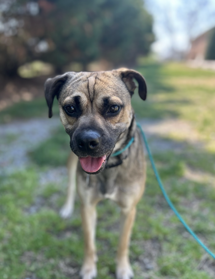 Screenshot 2026-04-03 at 3.09.15 PM.png