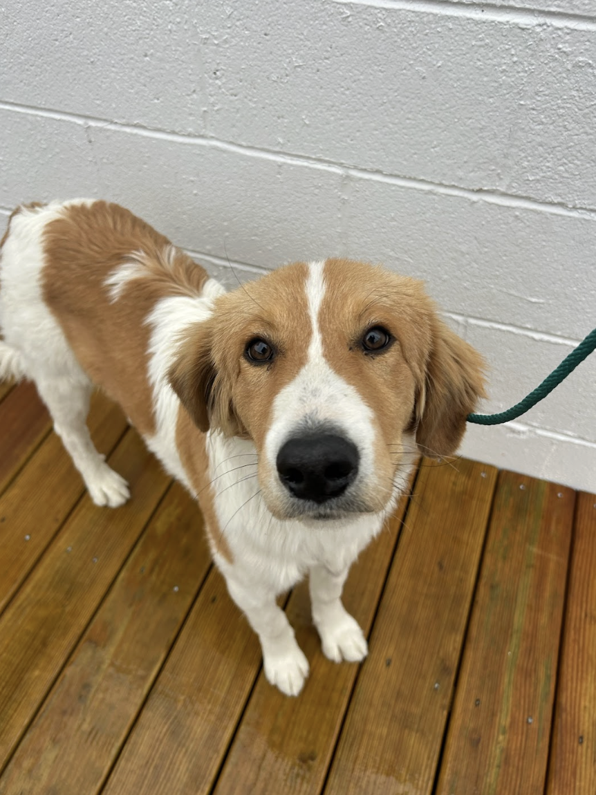 Screenshot 2025-12-18 at 1.35.35 PM.png