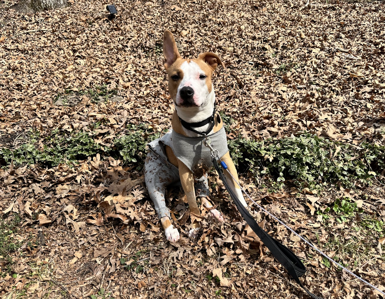 Screenshot 2026-03-06 at 2.37.41 PM.png