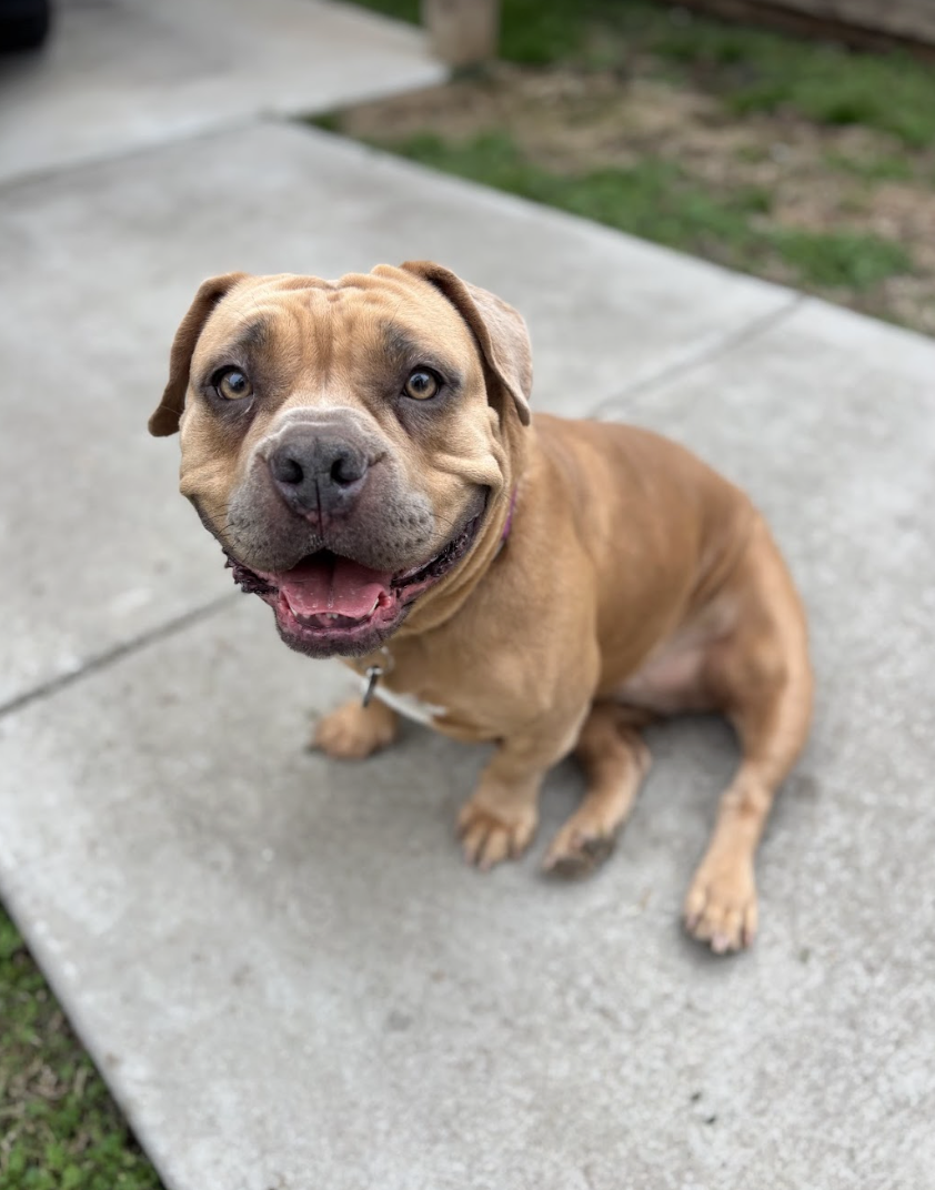 Screenshot 2026-02-26 at 2.24.55 PM.png