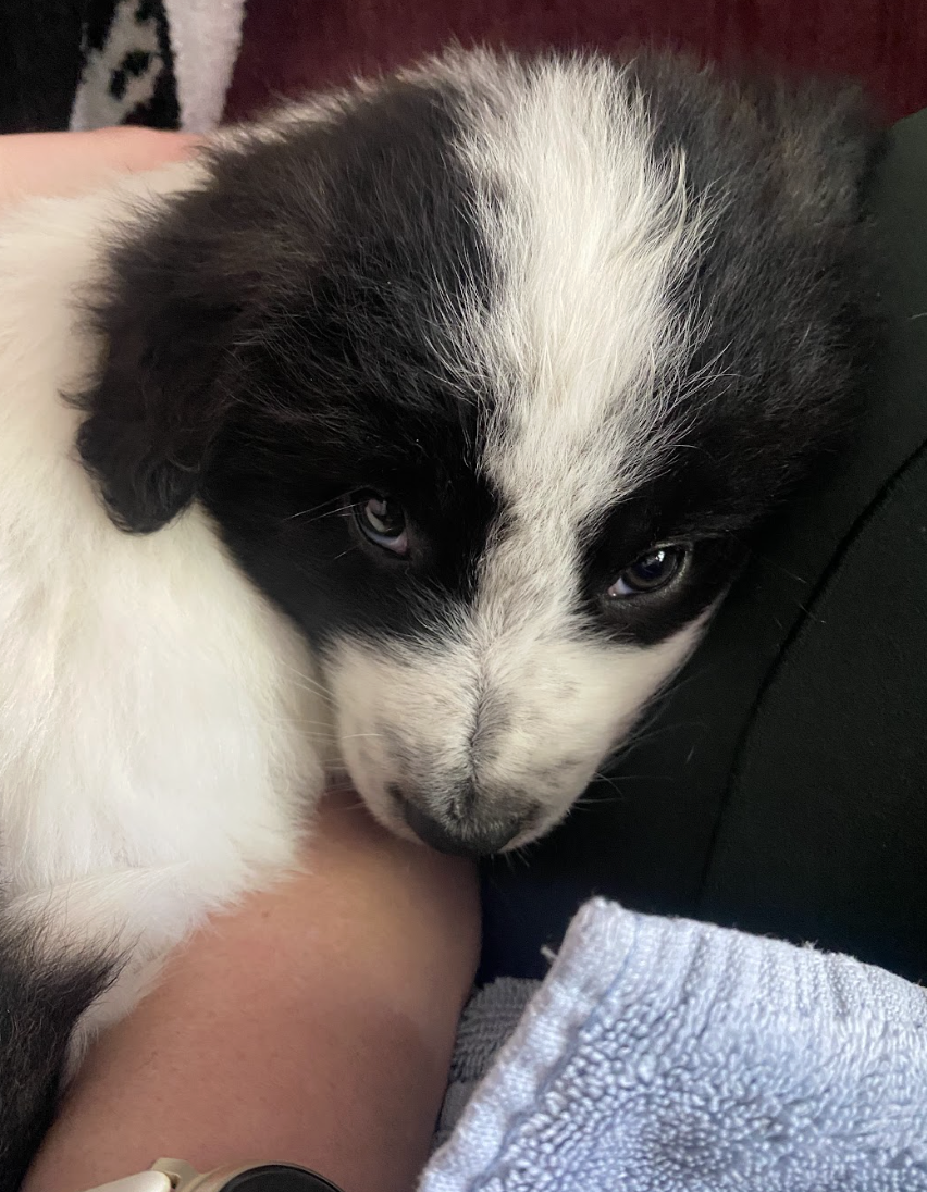 Screenshot 2026-04-13 at 2.47.17 PM.png