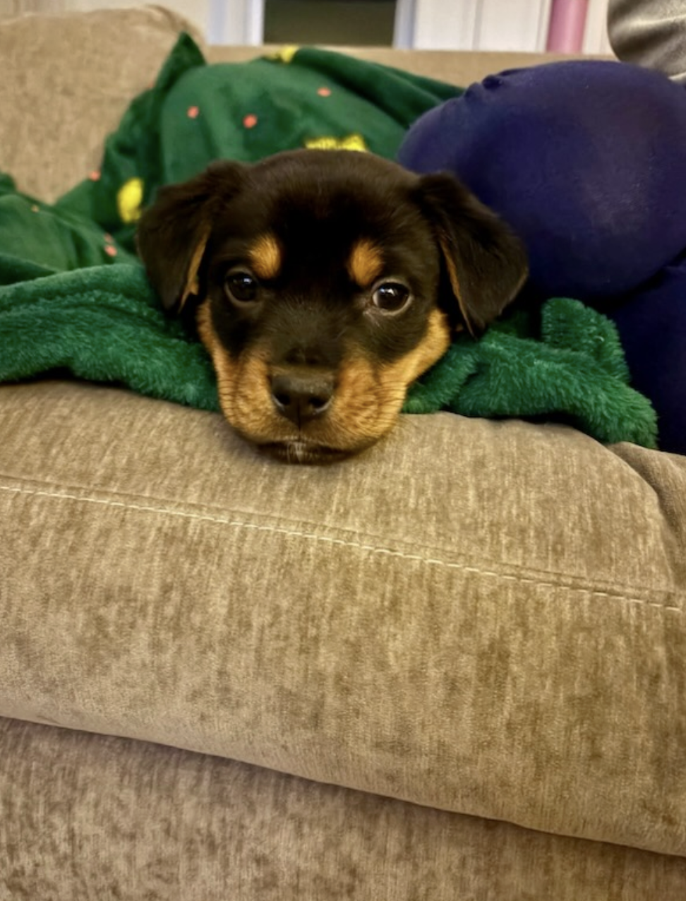 Screenshot 2025-12-20 at 12.55.26 PM.png