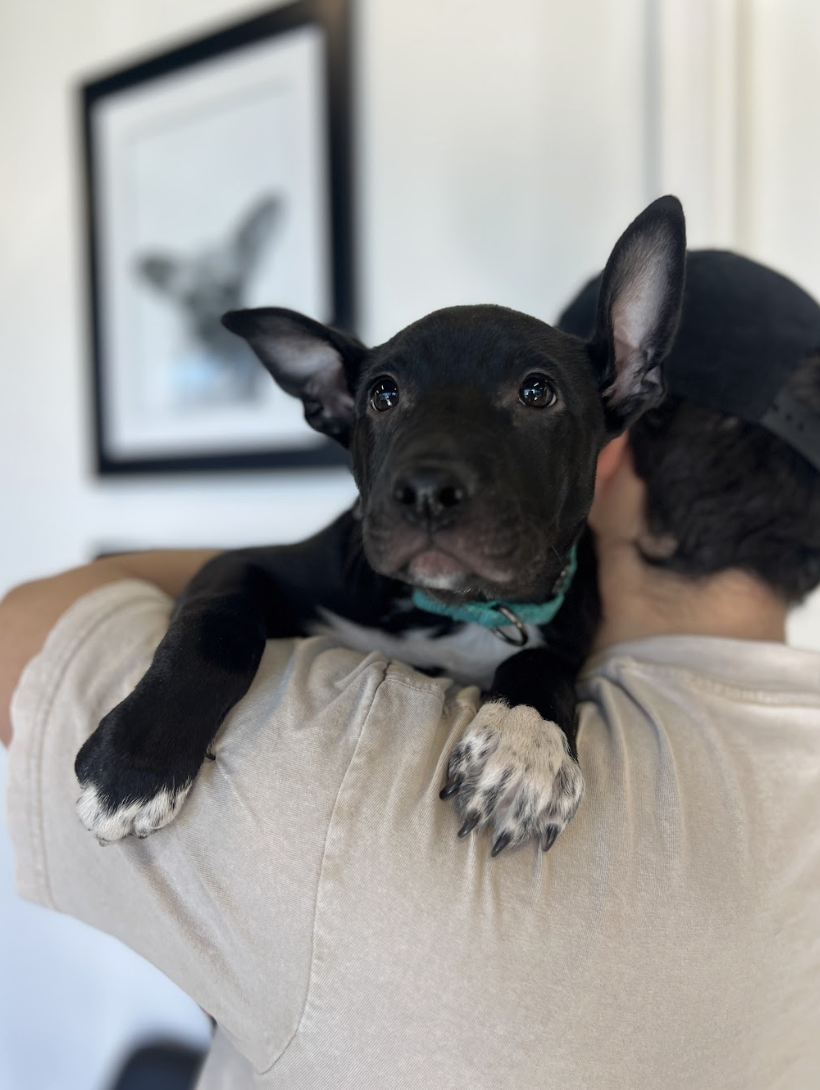 Screenshot 2026-02-20 at 2.50.50 PM.png