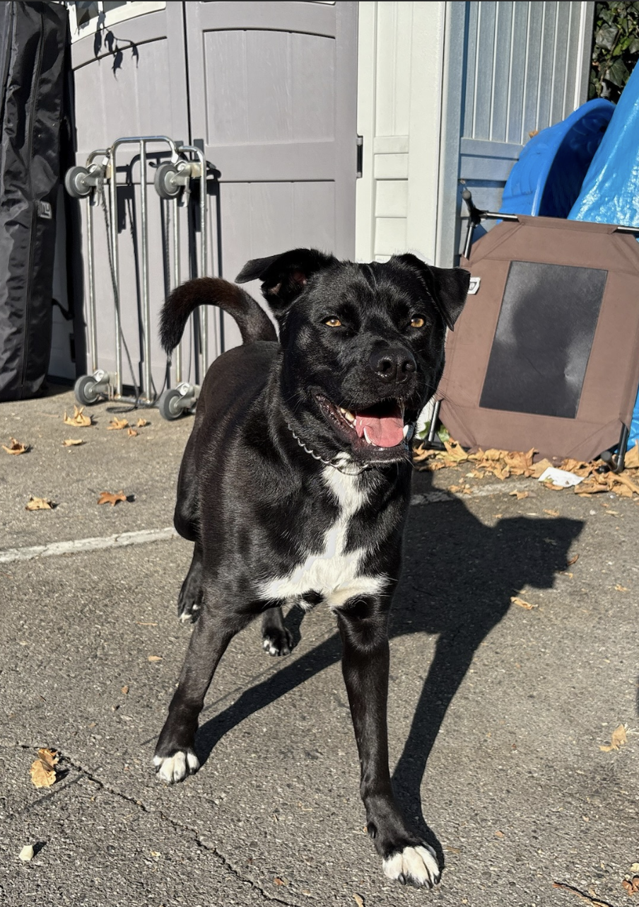 Screenshot 2025-11-07 at 5.06.02 PM.png