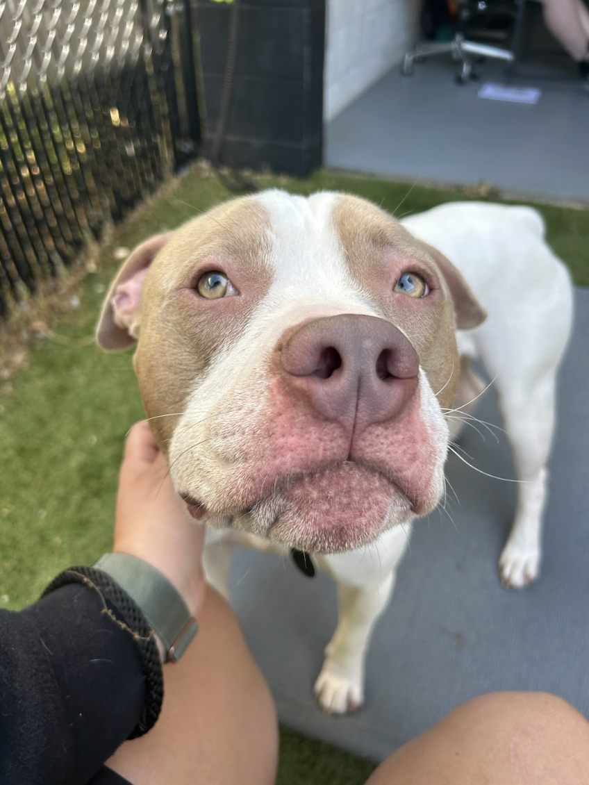 Screenshot 2026-04-23 at 2.02.37 PM.png