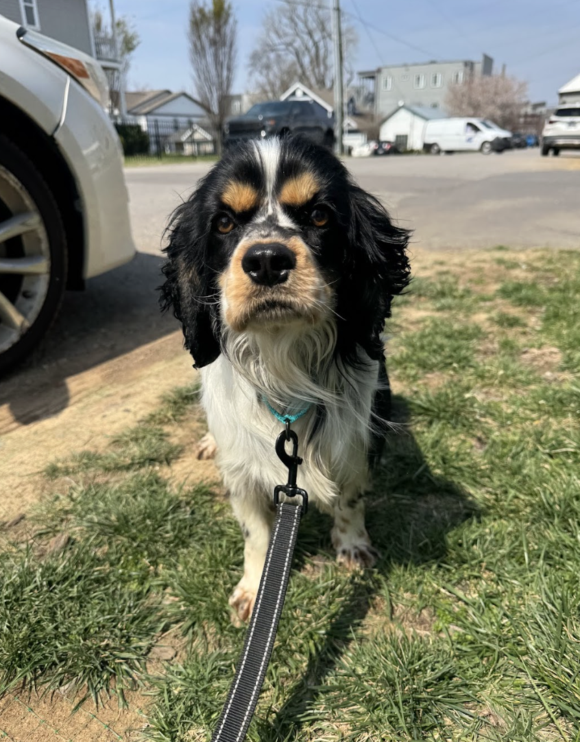 Screenshot 2026-03-21 at 2.28.00 PM.png