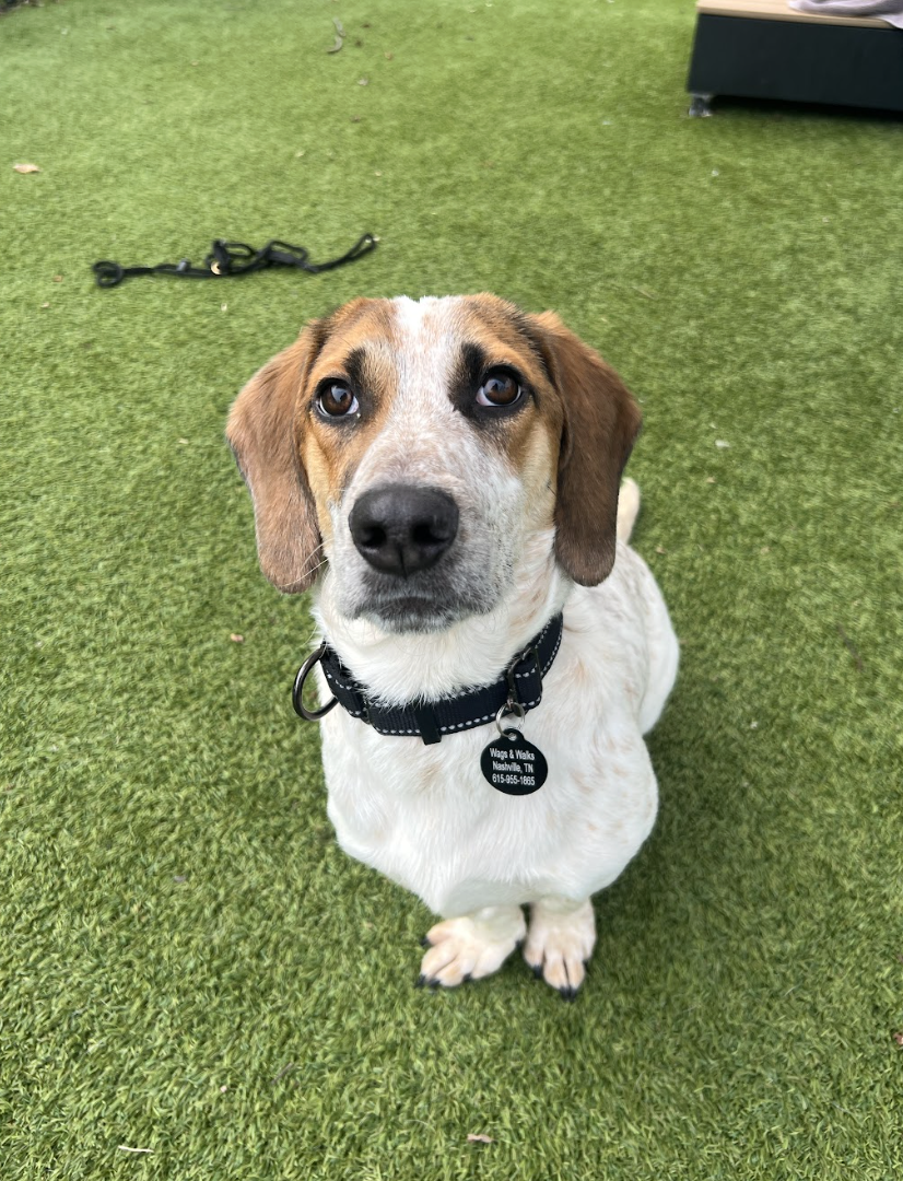 Screenshot 2026-02-05 at 2.24.51 PM.png