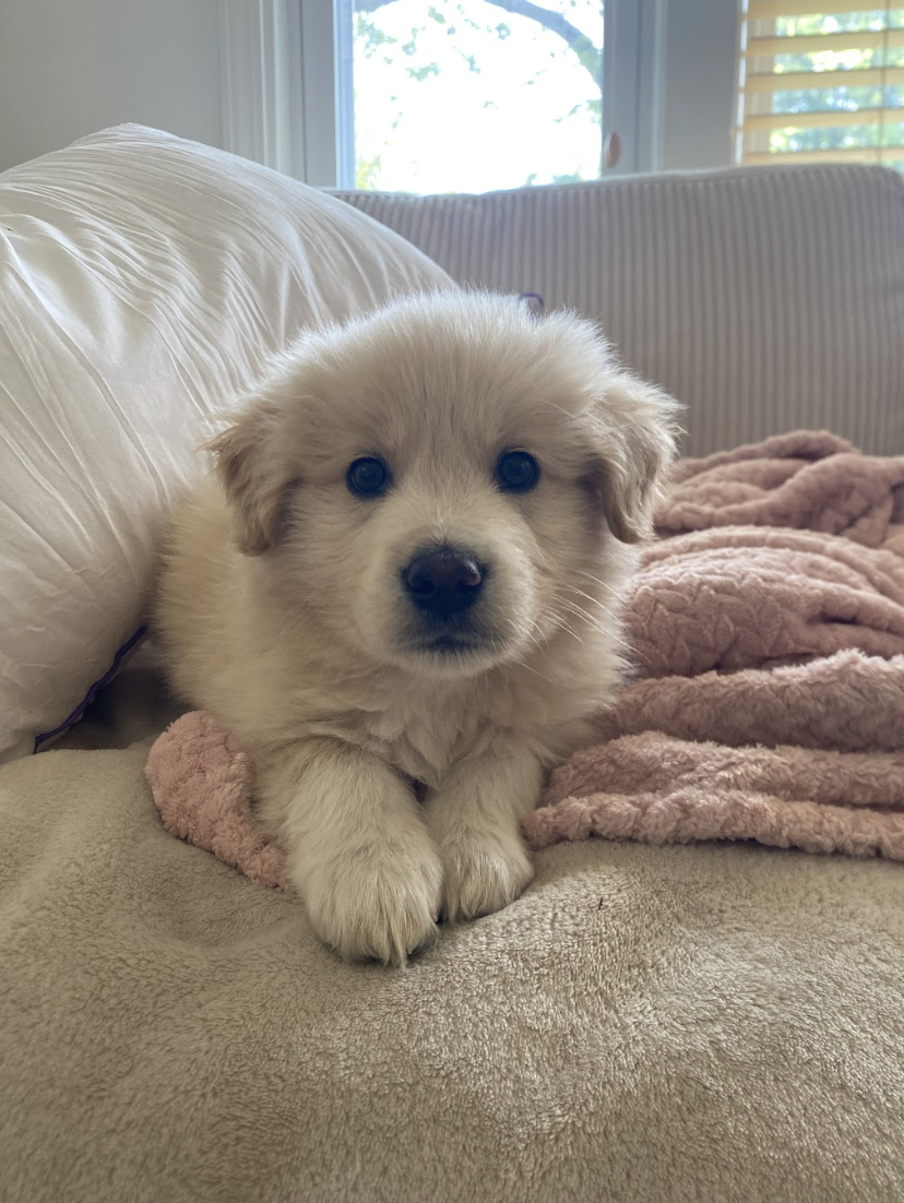 Screenshot 2026-04-16 at 4.58.36 PM.png