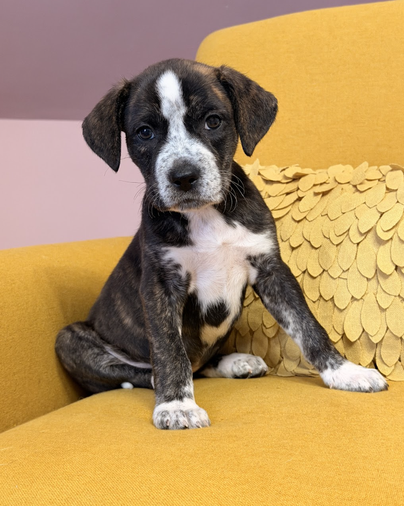 Screenshot 2026-03-27 at 7.55.31 PM.png