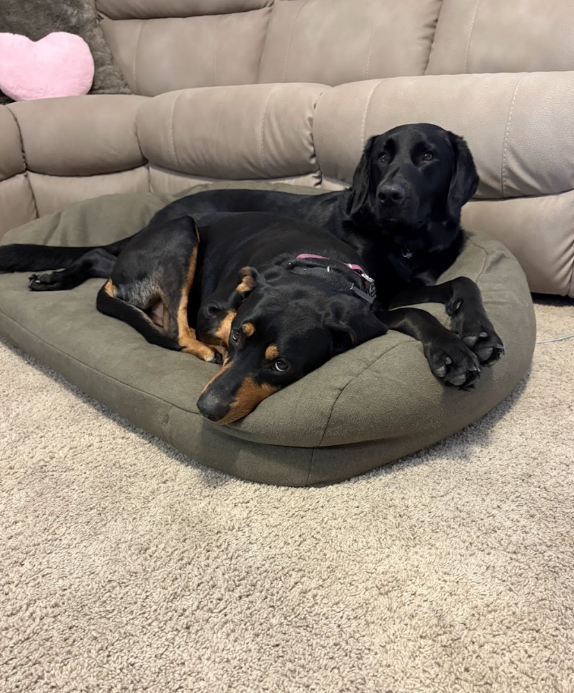 Screenshot 2026-04-22 at 4.53.50 PM.png