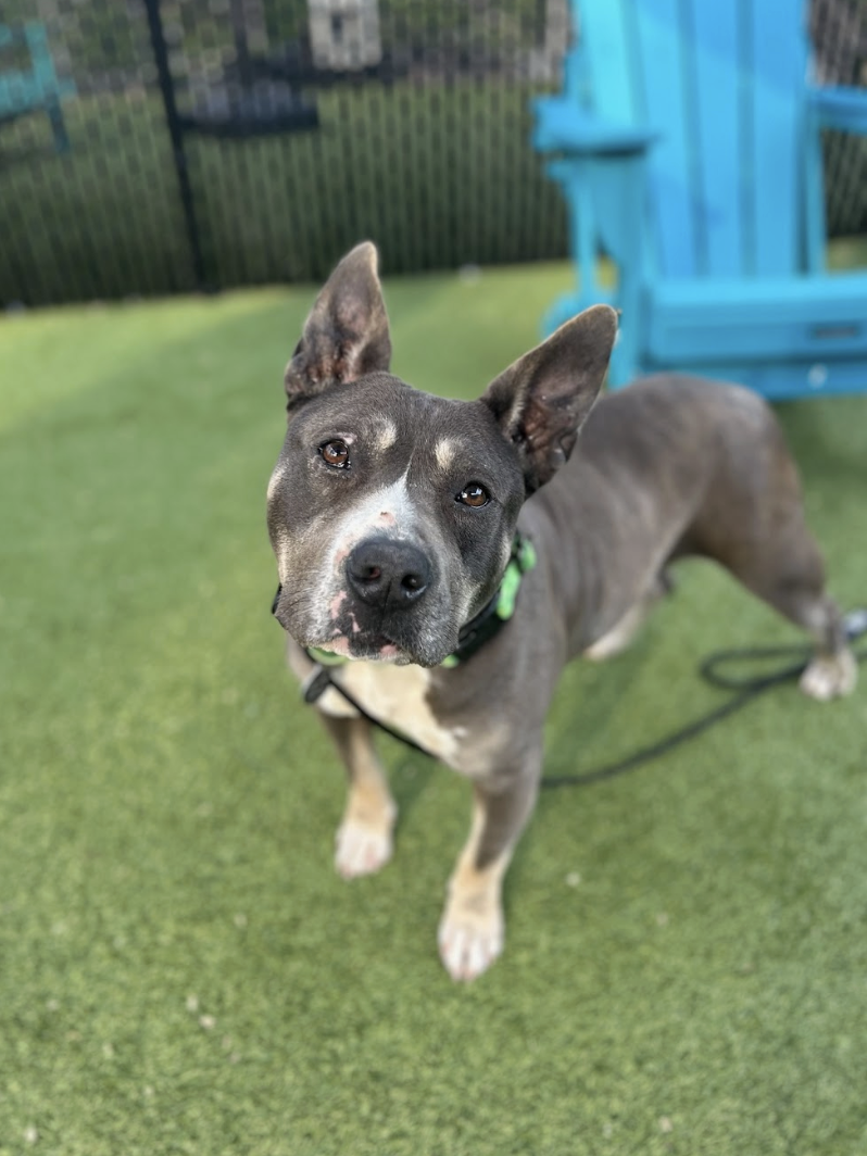 Screenshot 2026-03-26 at 2.16.57 PM.png