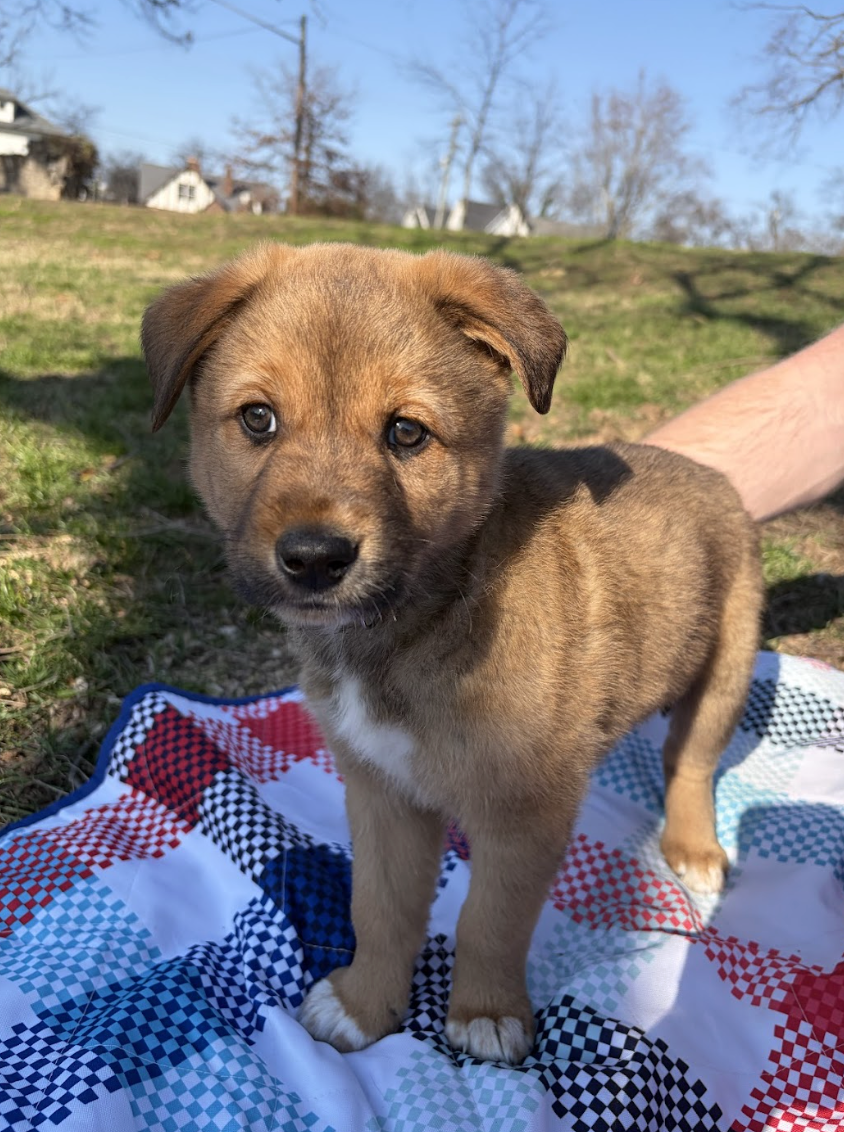 Screenshot 2026-03-05 at 6.17.58 PM.png