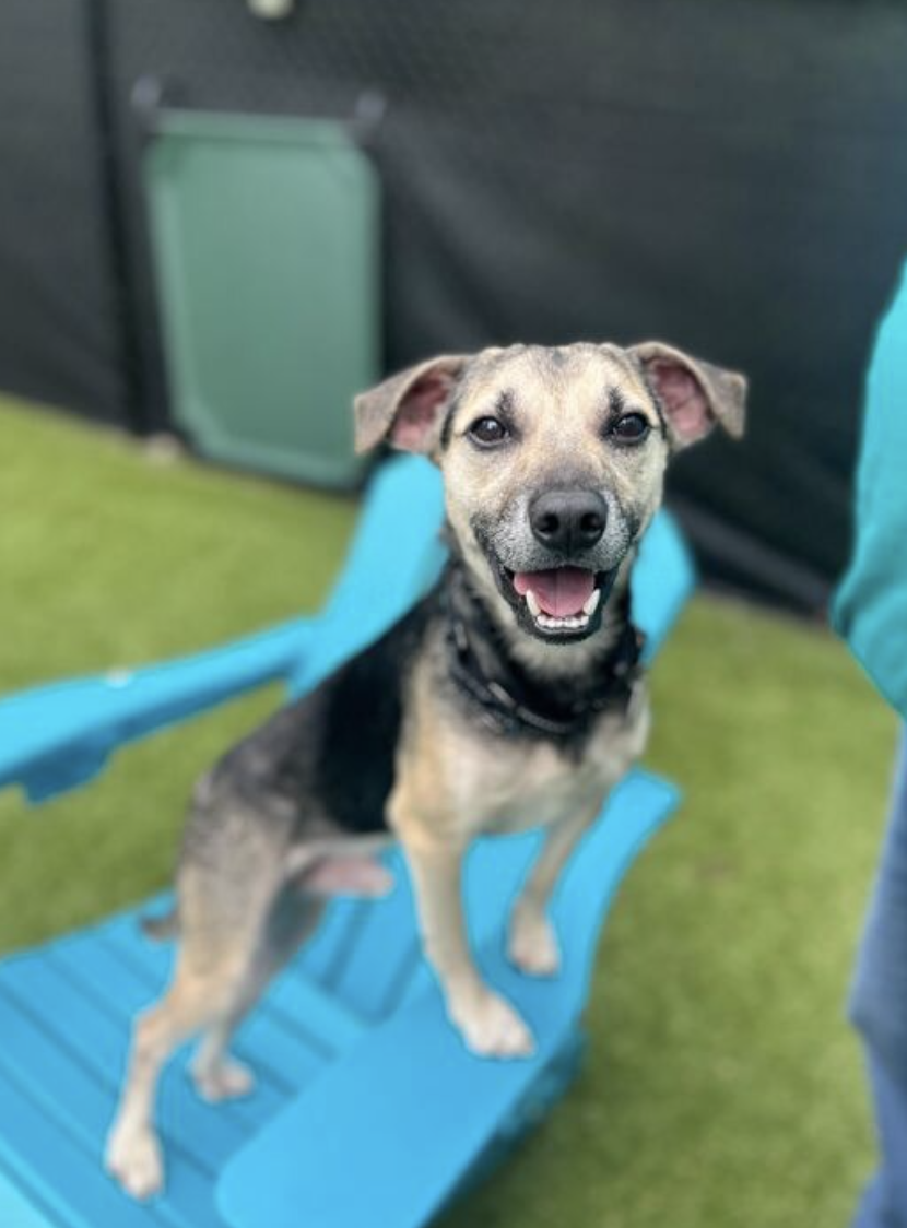 Screenshot 2026-04-16 at 7.16.56 PM.png