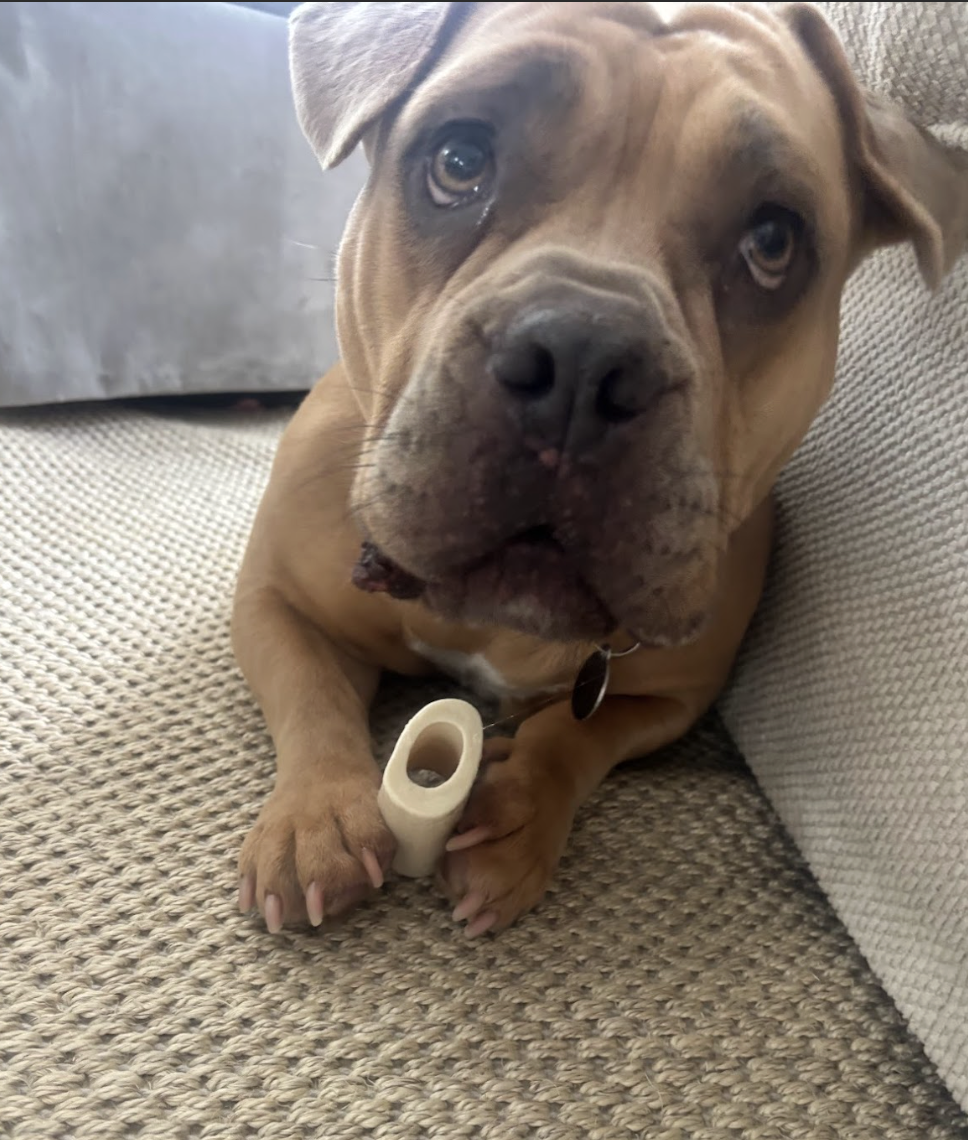 Screenshot 2026-02-16 at 6.10.39 PM.png