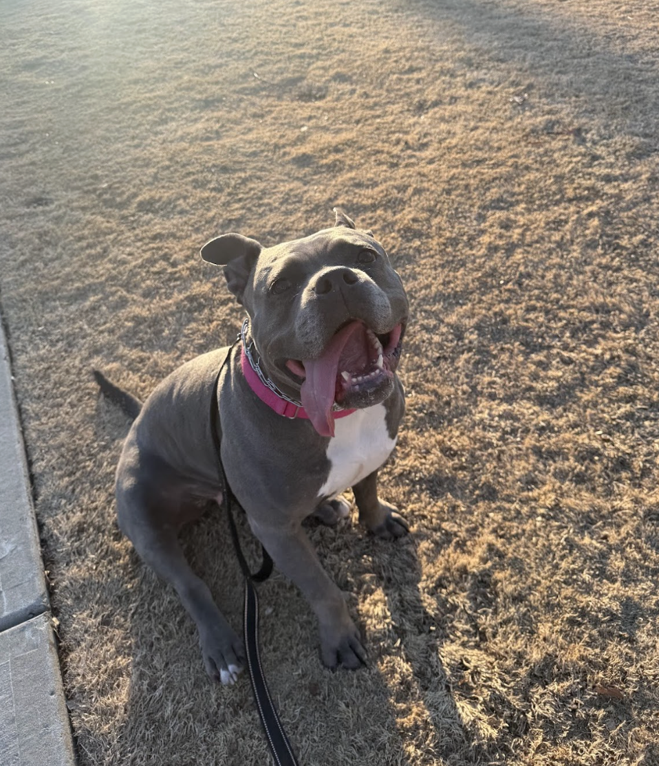 Screenshot 2026-02-16 at 6.13.06 PM.png