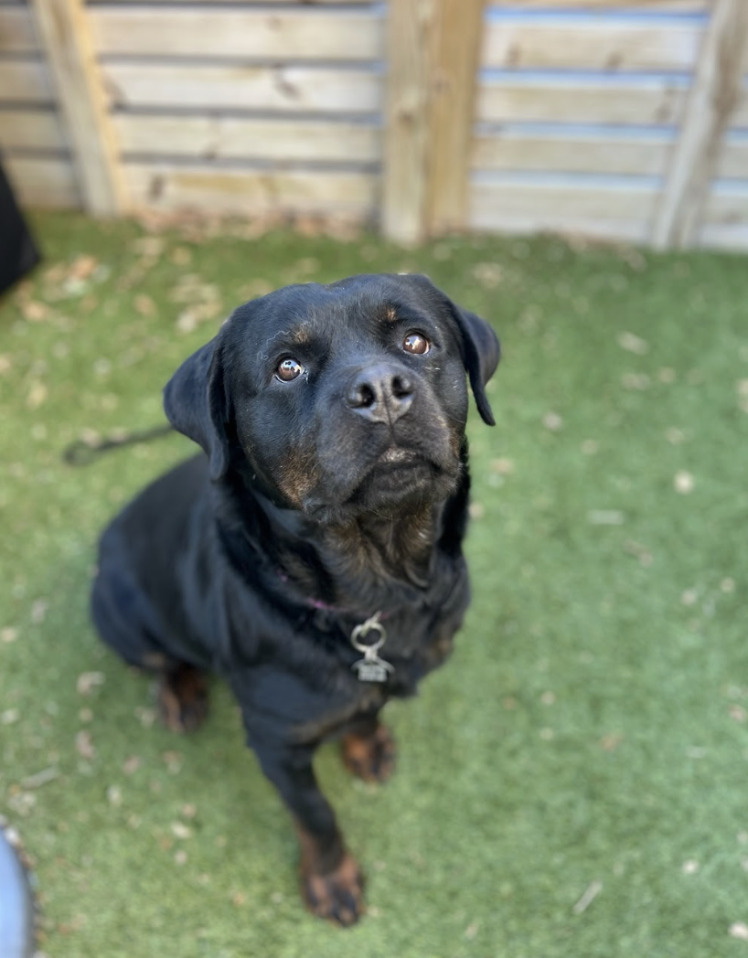 Screenshot 2026-04-23 at 1.54.14 PM.png