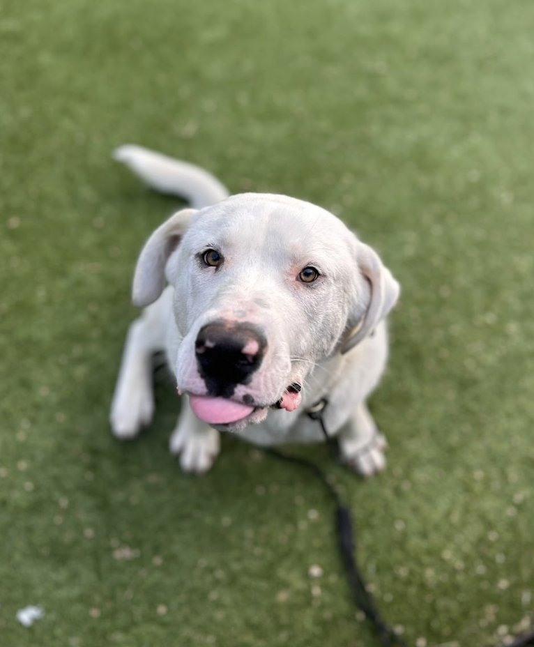 Screenshot 2026-04-09 at 6.48.01 PM.png