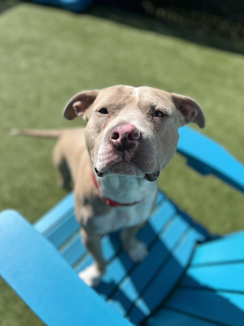 Screenshot 2026-03-24 at 12.42.36 PM.png