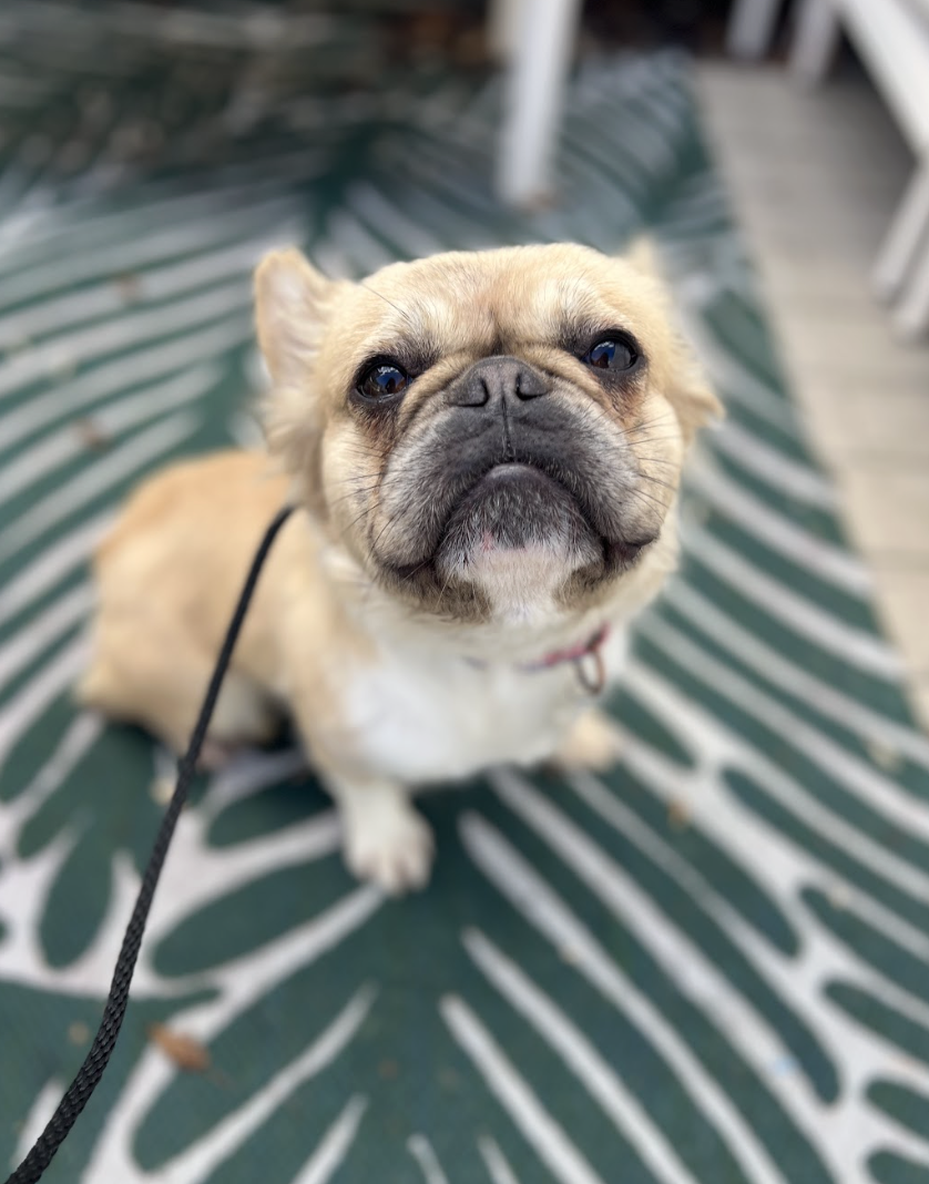 Screenshot 2026-01-15 at 2.32.58 PM.png