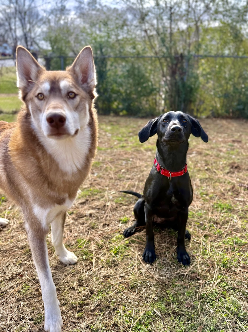 Screenshot 2026-01-06 at 4.35.07 PM.png