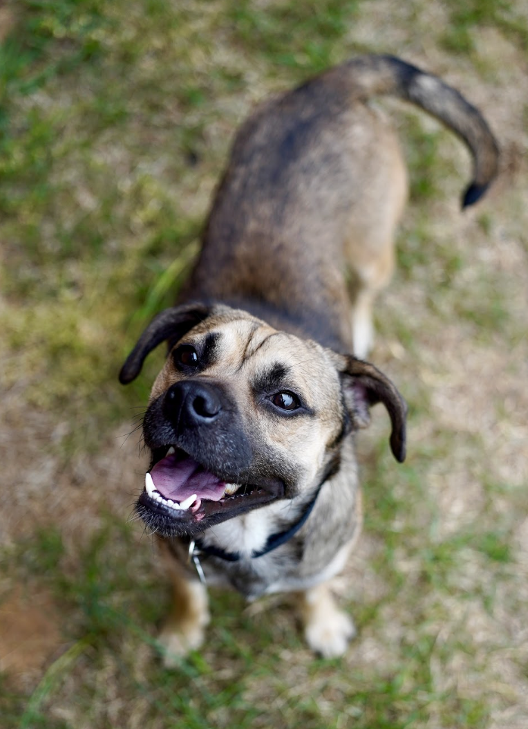 Screenshot 2026-04-03 at 3.09.03 PM.png