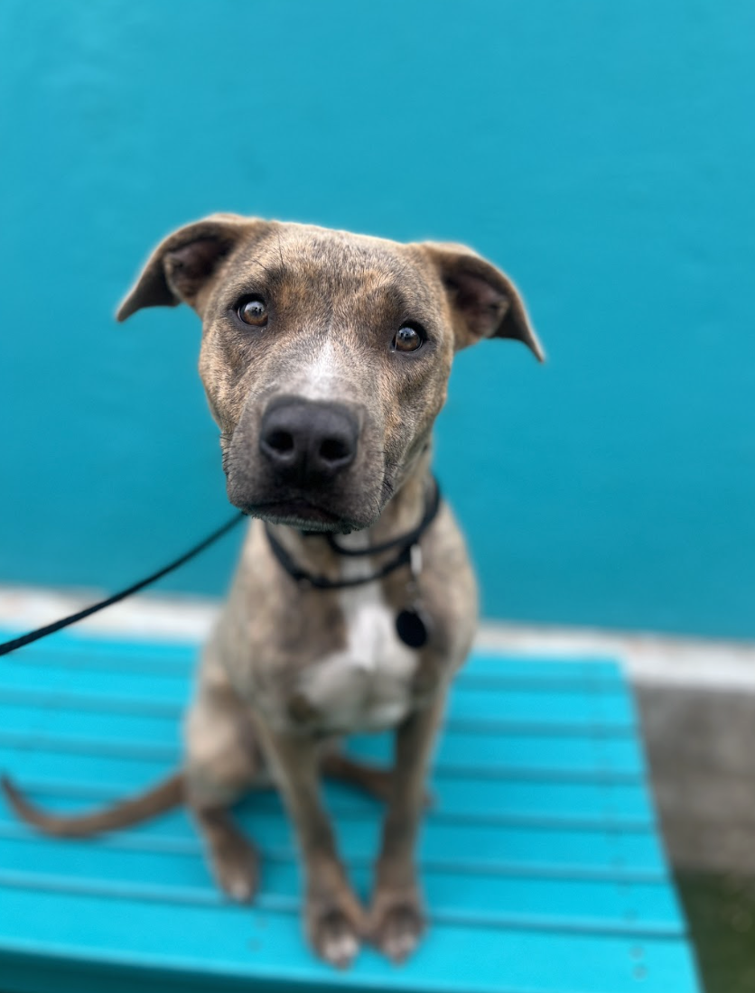 Screenshot 2026-03-26 at 3.08.35 PM.png