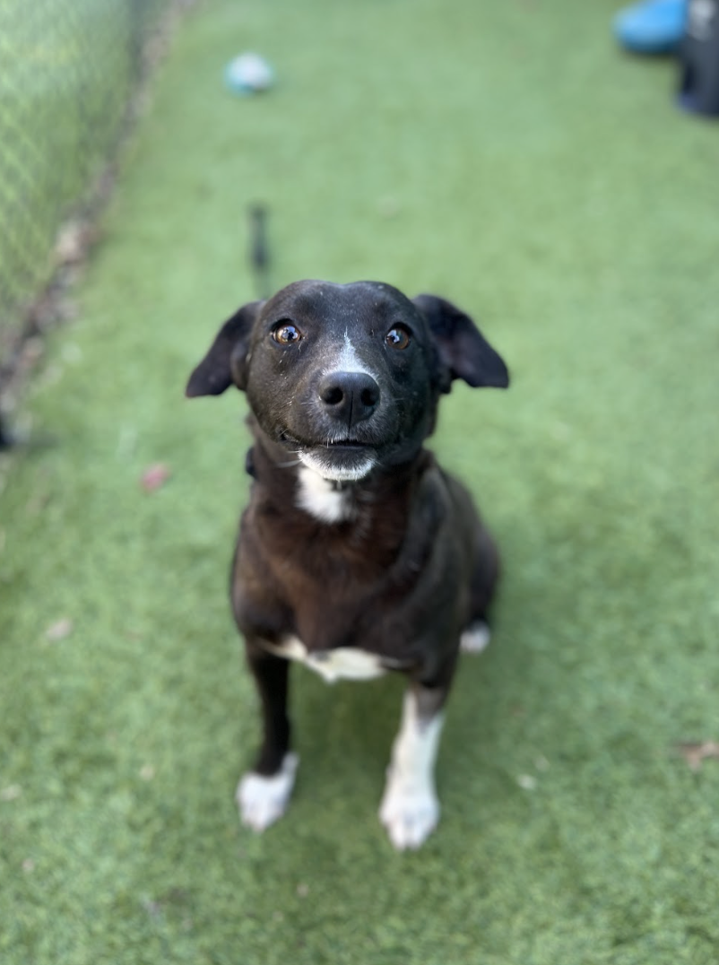 Screenshot 2026-02-12 at 2.03.29 PM.png