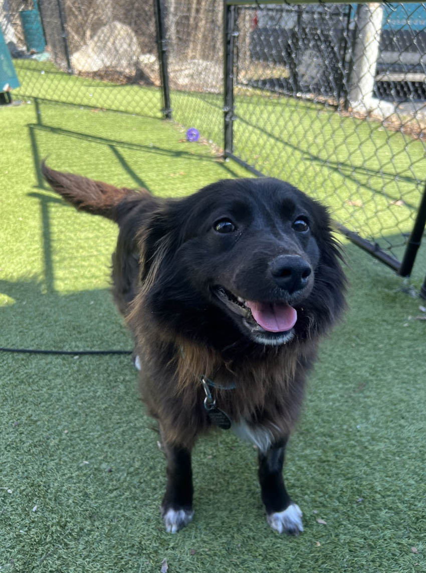 Screenshot 2026-02-12 at 1.58.10 PM.png