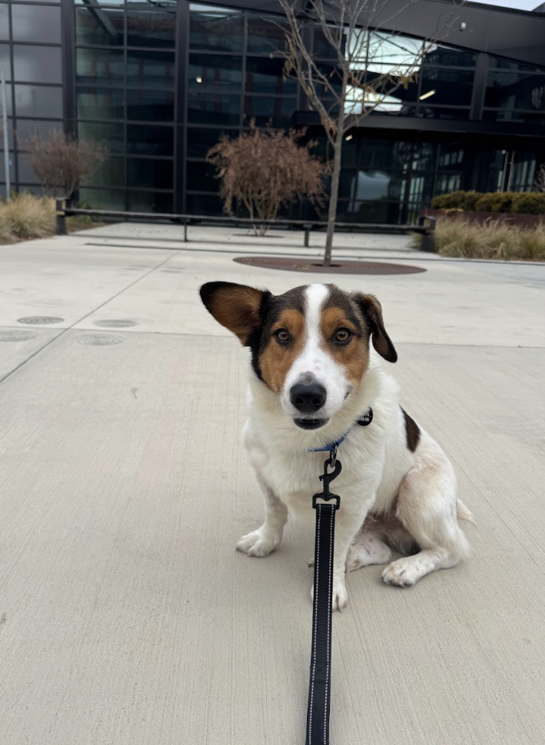 Screenshot 2026-01-06 at 1.28.10 PM.png