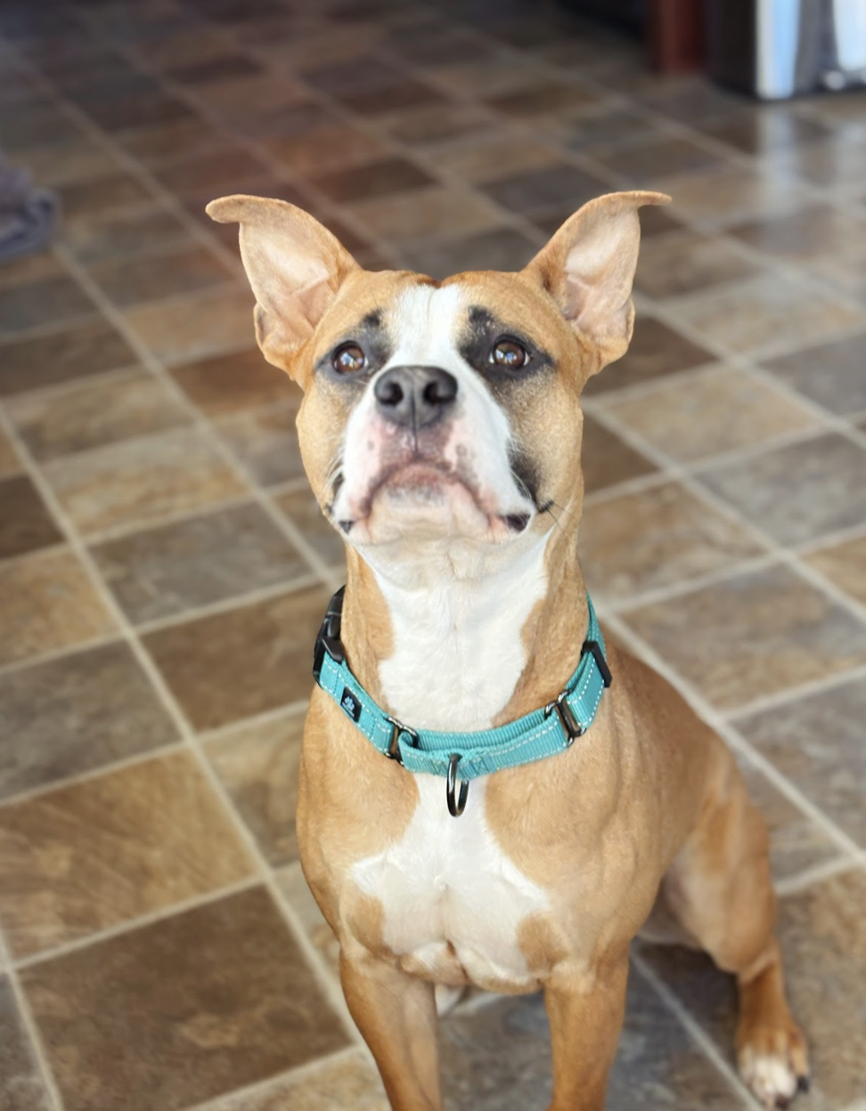 Screenshot 2026-02-07 at 8.27.02 AM.png