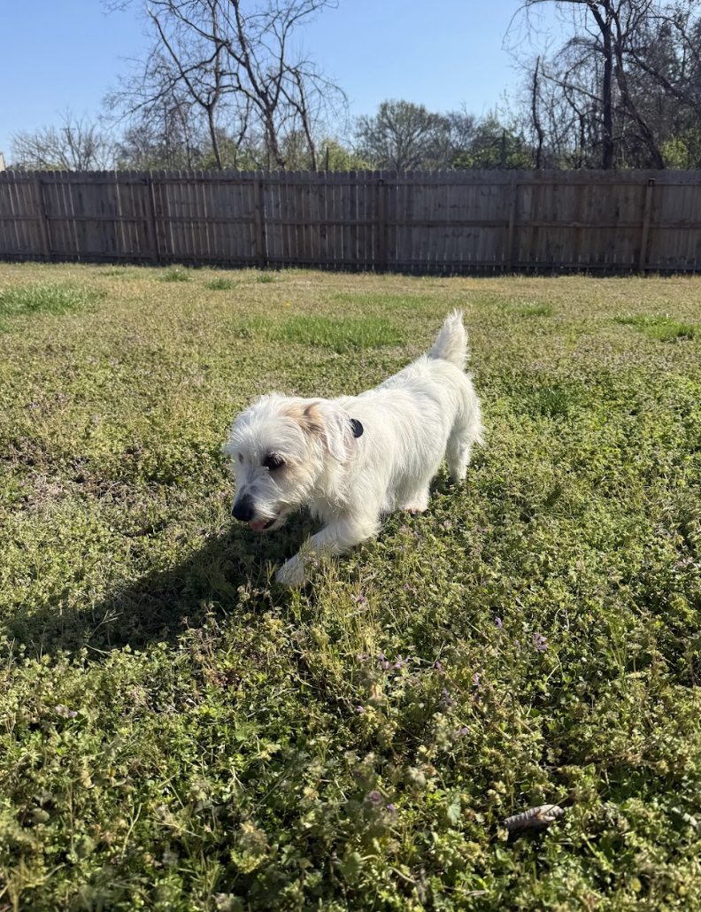 Screenshot 2026-03-21 at 2.18.35 PM.png