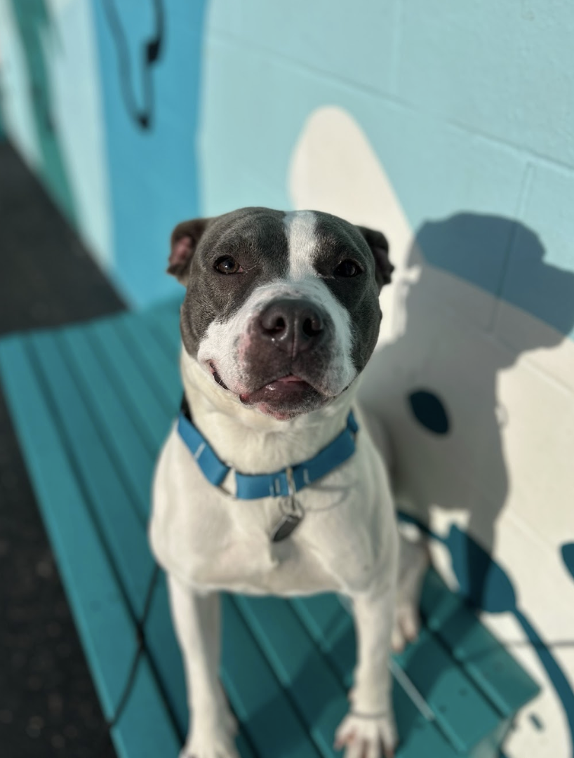 Screenshot 2026-02-25 at 12.55.51 PM.png