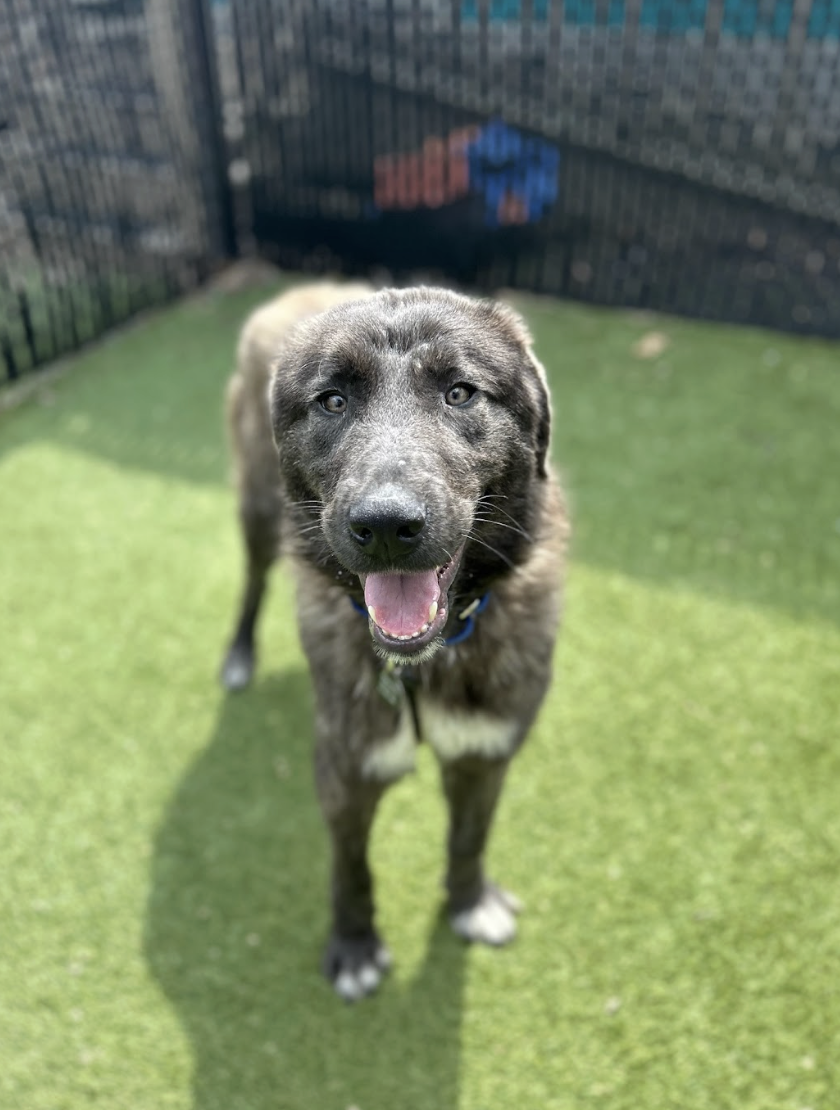 Screenshot 2026-03-26 at 3.18.48 PM.png