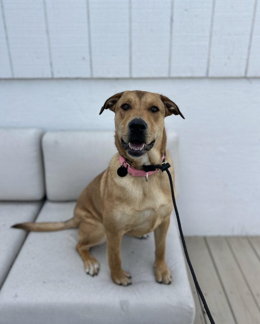 Screenshot 2026-03-14 at 5.08.05 PM.png