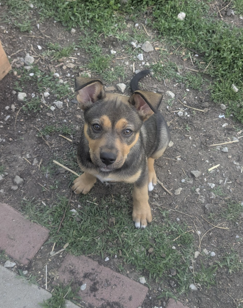 Screenshot 2026-04-23 at 7.29.43 PM.png