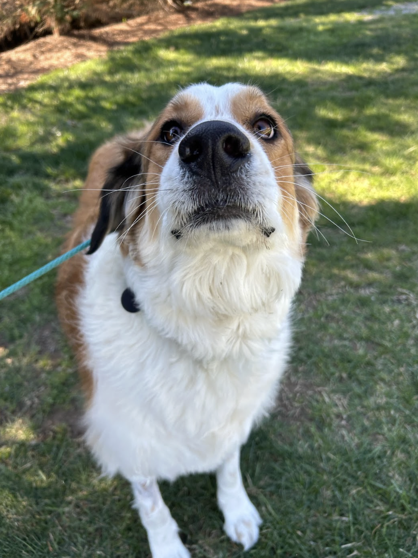 Screenshot 2026-03-18 at 4.20.17 PM.png