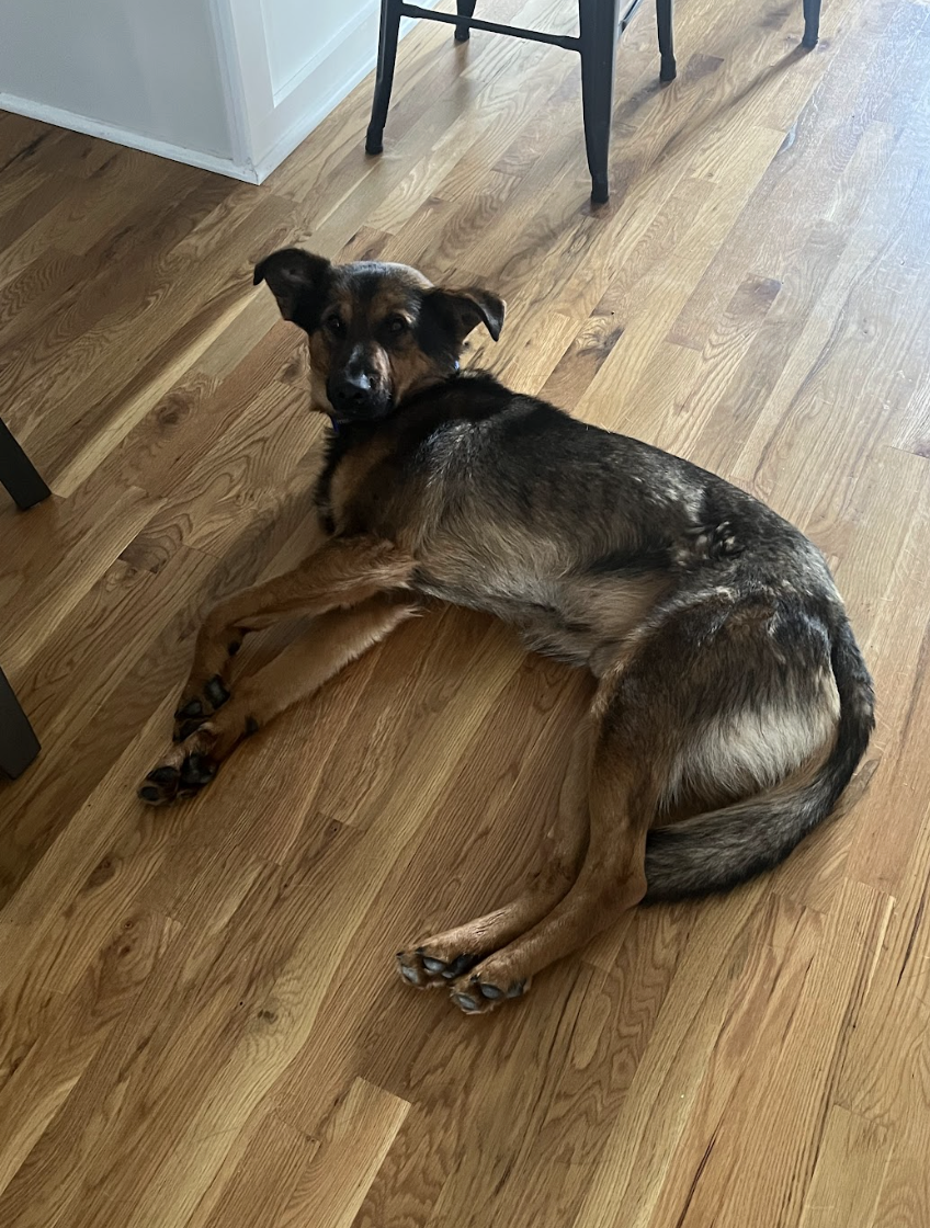 Screenshot 2026-04-22 at 5.32.58 PM.png