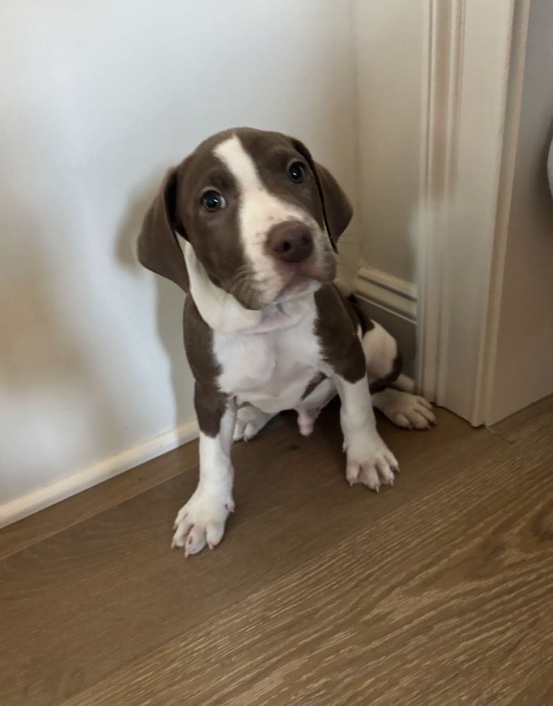 Screenshot 2026-01-07 at 1.19.10 PM.png