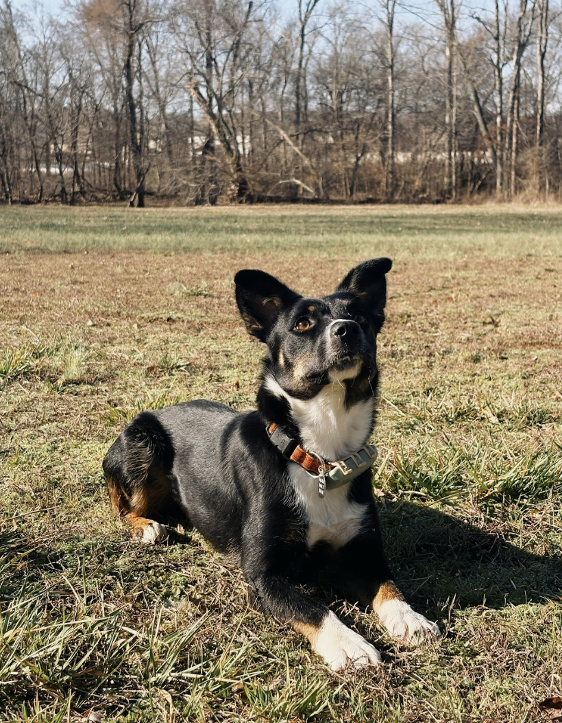 Screenshot 2026-04-03 at 3.04.18 PM.png