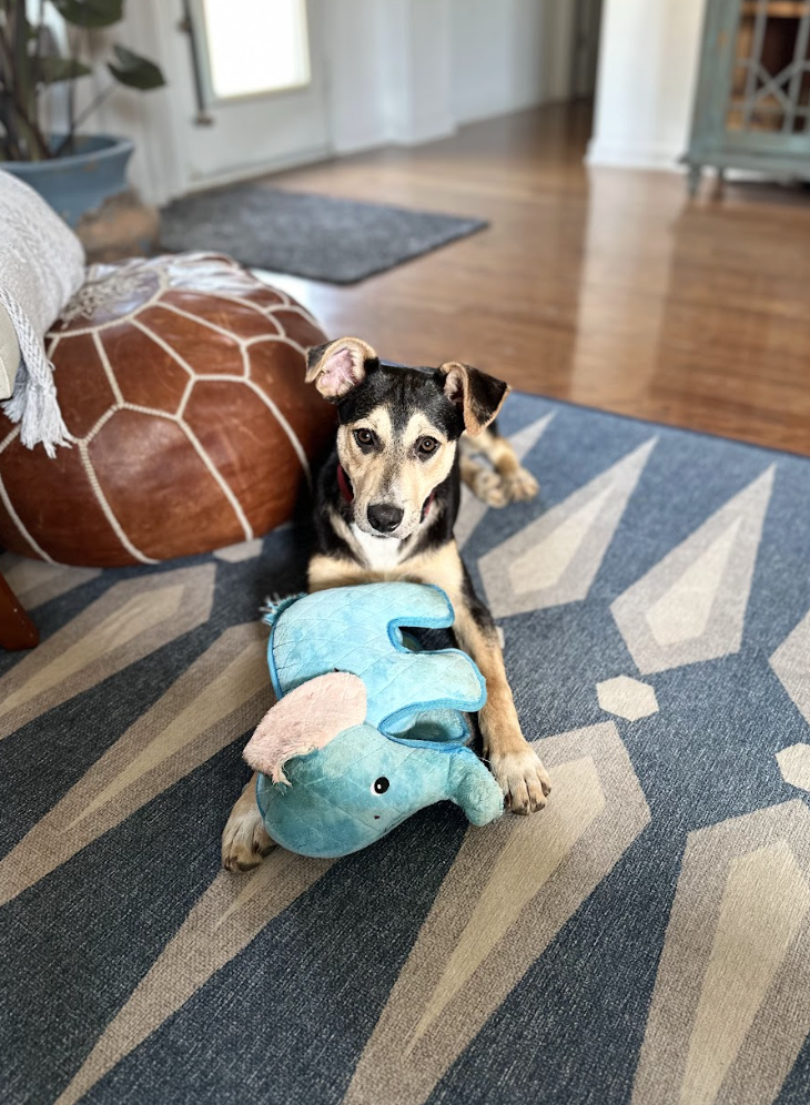 Screenshot 2026-04-23 at 7.33.41 PM.png