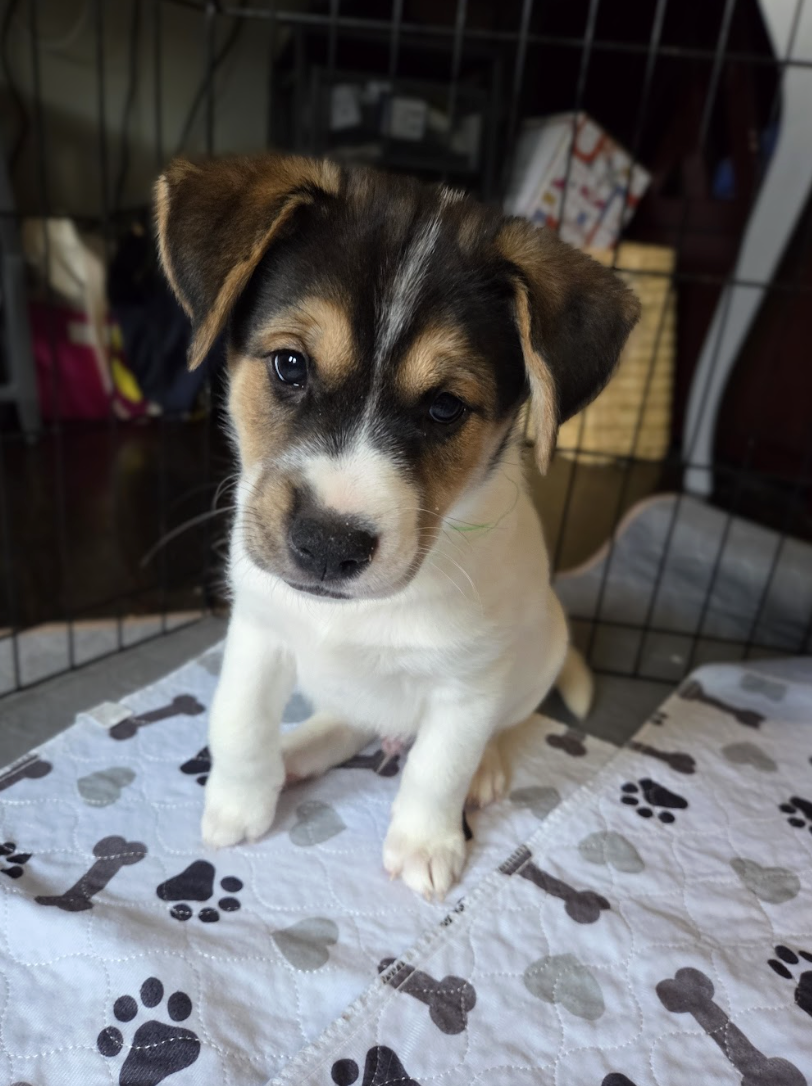 Screenshot 2026-01-14 at 6.33.39 PM.png