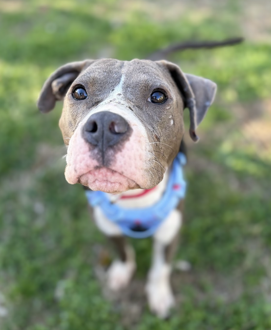 Screenshot 2026-04-20 at 1.21.16 PM.png