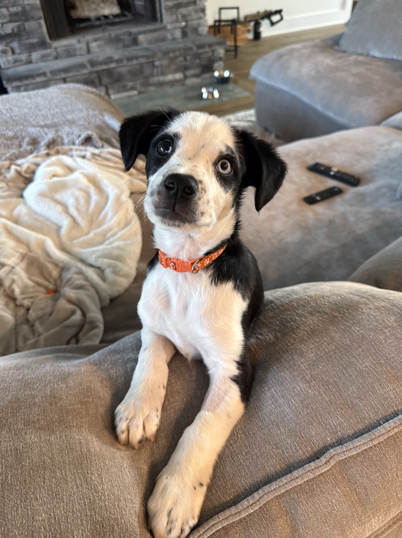 Screenshot 2026-04-03 at 1.42.22 PM.png