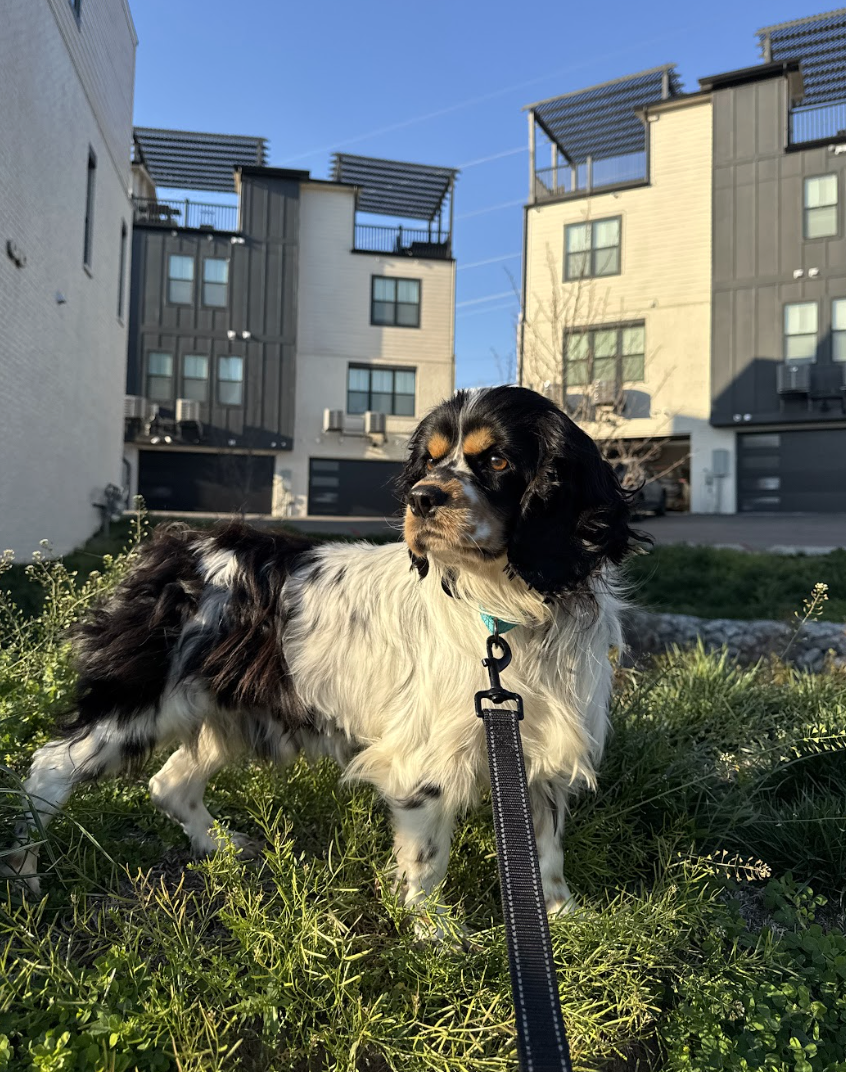 Screenshot 2026-03-21 at 2.27.43 PM.png