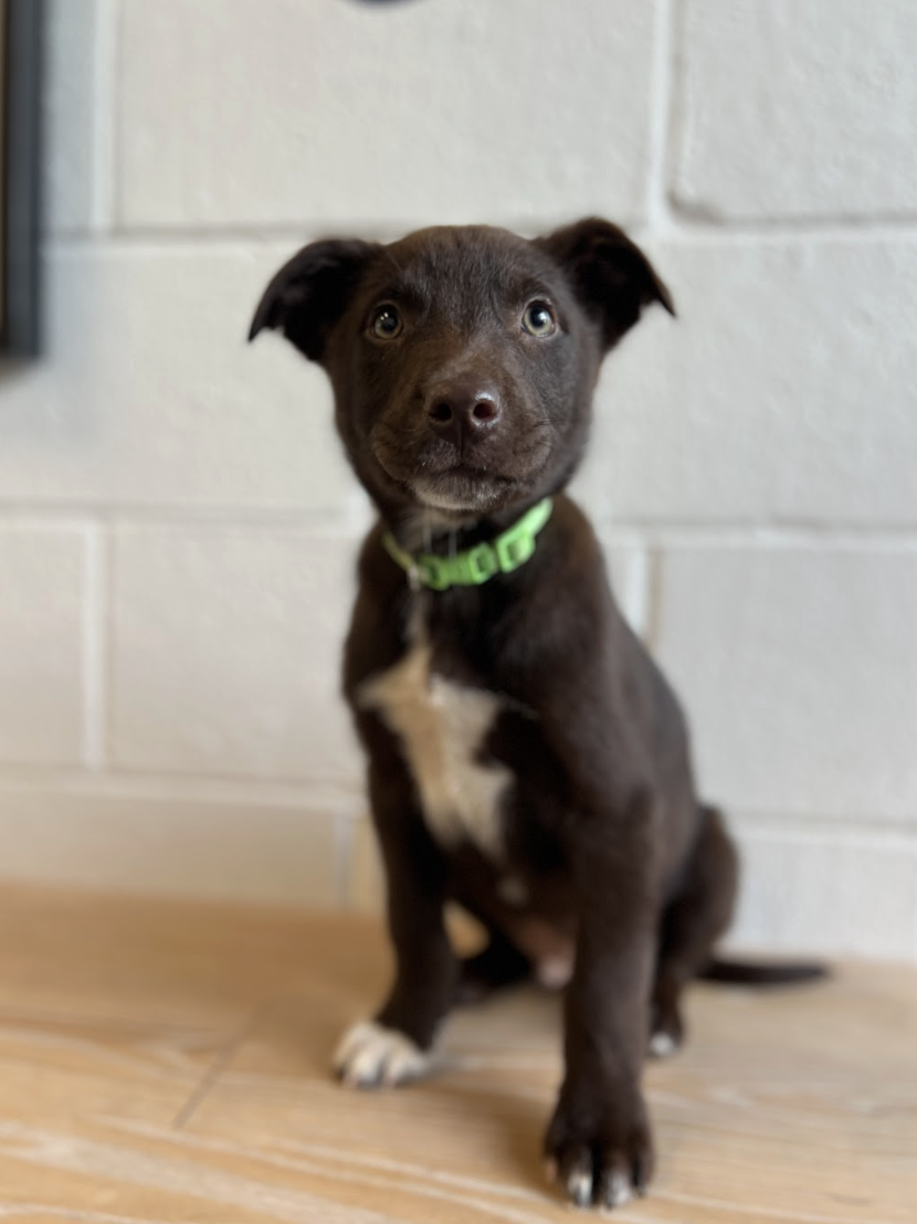 Screenshot 2026-01-15 at 6.48.08 PM.png