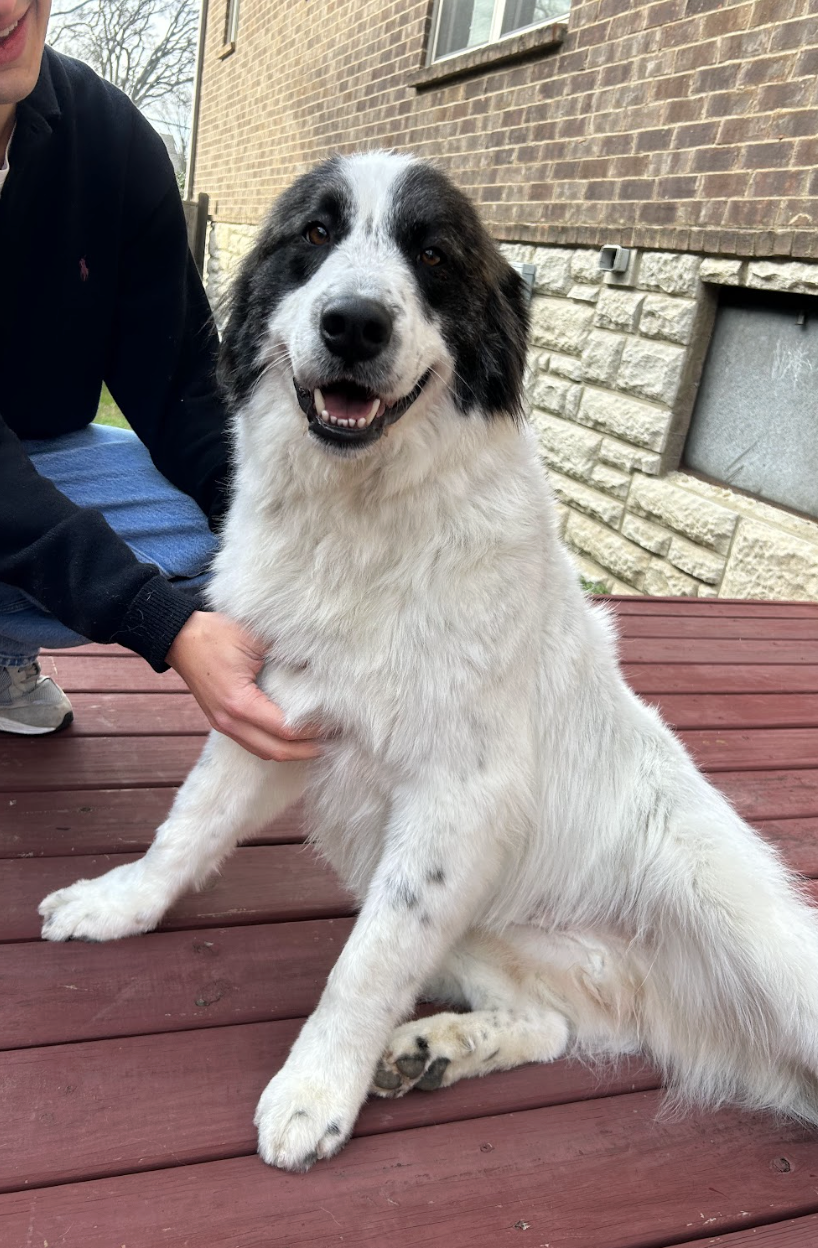 Screenshot 2026-01-25 at 10.07.22 AM.png