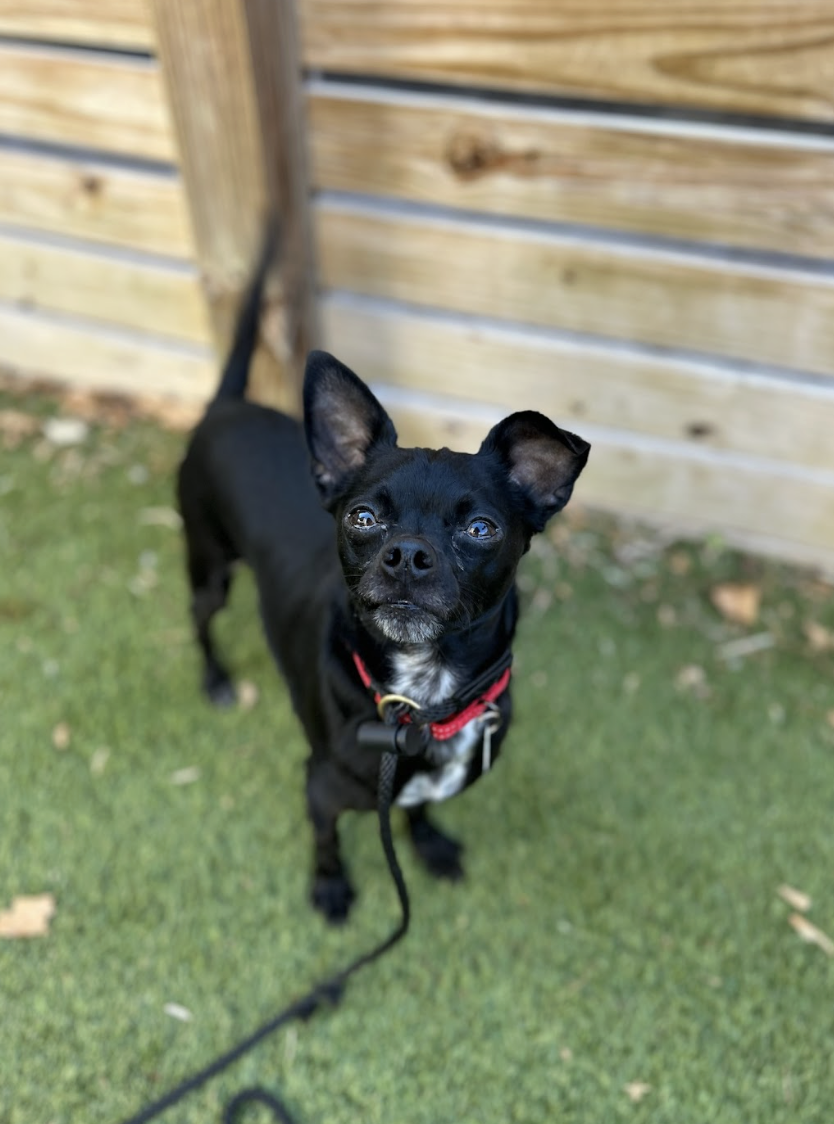 Screenshot 2026-04-23 at 2.07.11 PM.png